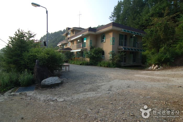 주천강강변자연휴양림_17