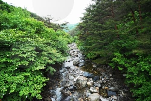 가리왕산자연휴양림_10