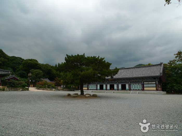 경주 기림사 (13)