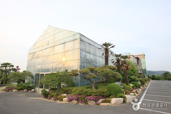 울산광역시_동구_울산테마식물수목원_040