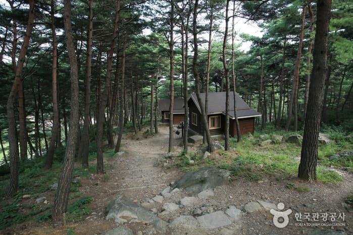 칠보산자연휴양림