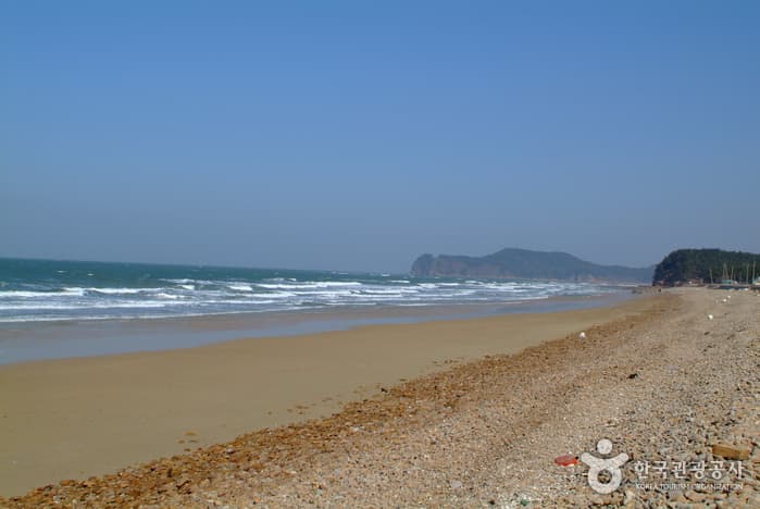 샛별해수욕장00