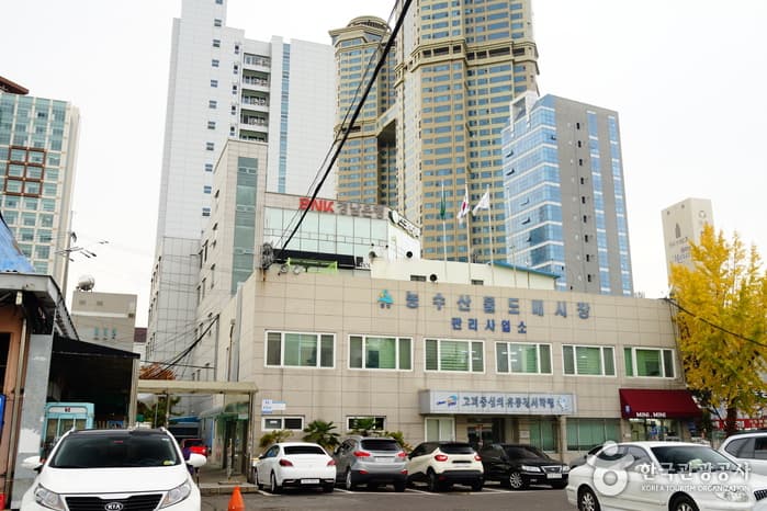 무장애_울산_울산농수산물도매시장12