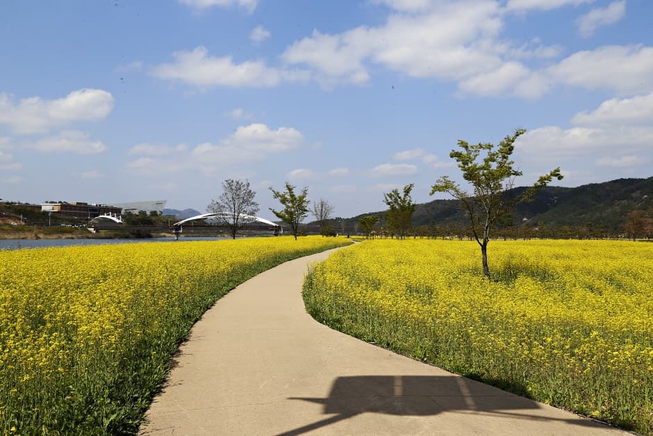 경북_상주_경천섬공원_산책로1