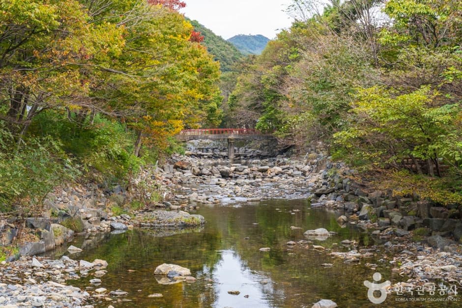 심연동계곡(성주계곡) (5)