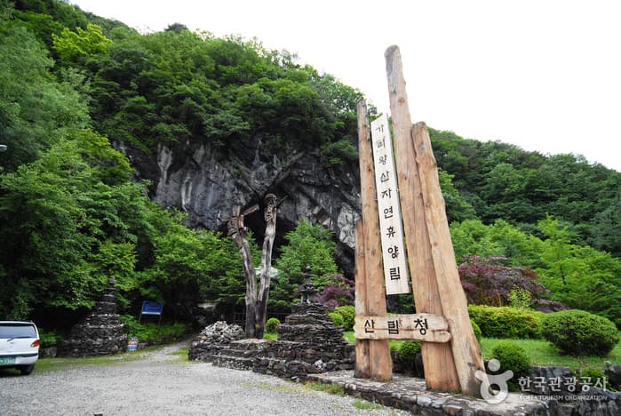 가리왕산자연휴양림_14