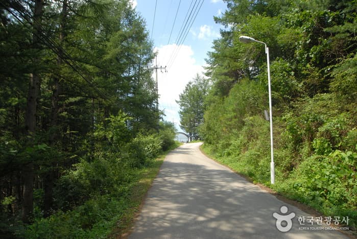 주천강휴양림_03