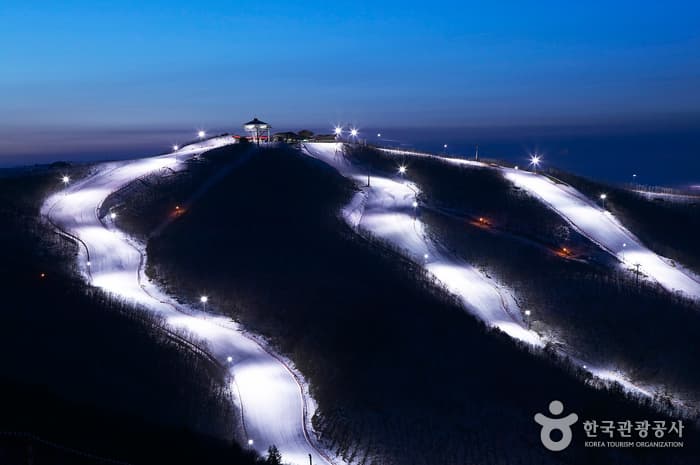 하이원스키장_슬로프01