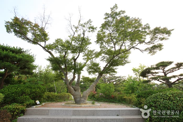 울산광역시_동구_울산테마식물수목원_041