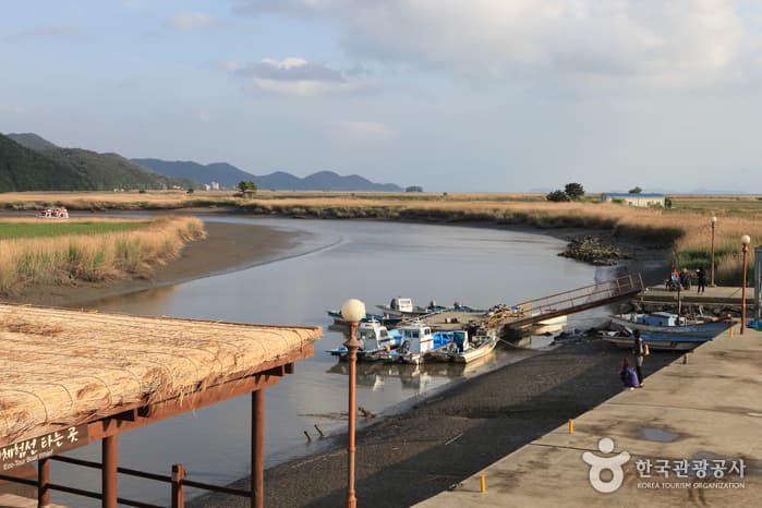 130510전남_순천_순천만자연생태공원 4