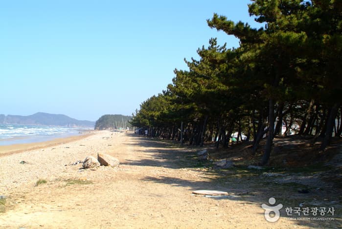 샛별해수욕장17