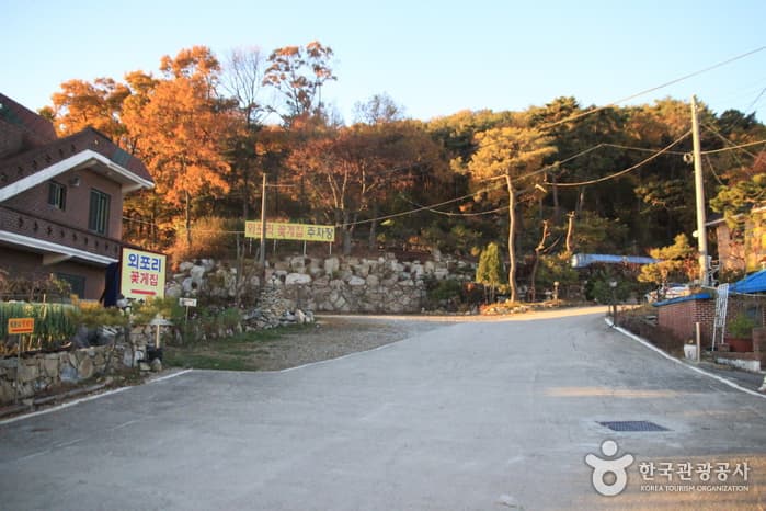 인천_강화_외포리꽃게집01