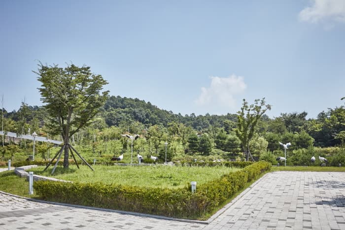 한국문화관광연구원_군남홍수조절지 두루미테마파크_08