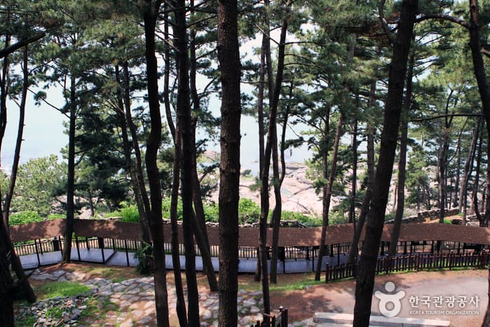 충남_보령_한옥의 보물섬 상화원에서 홀로 보낸 몇 시간08