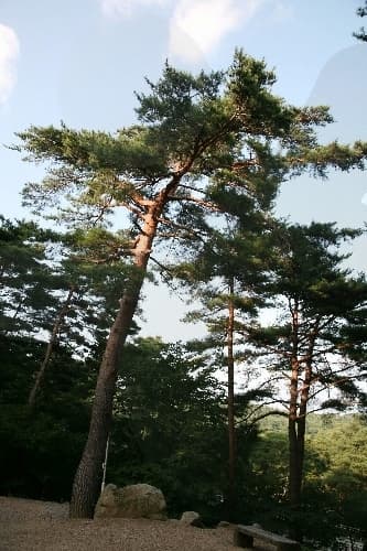 칠보산 자연휴양림_20