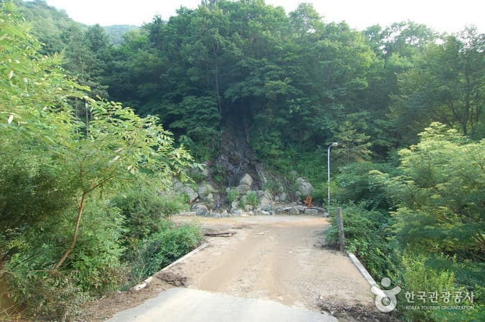 주천강강변자연휴양림_19