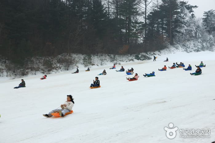 양평 한화리조트 눈썰매장_5