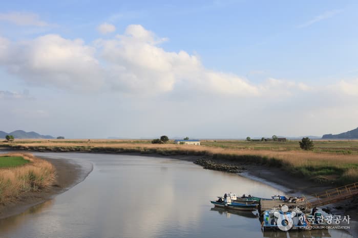 130510전남_순천_순천만자연생태공원 5