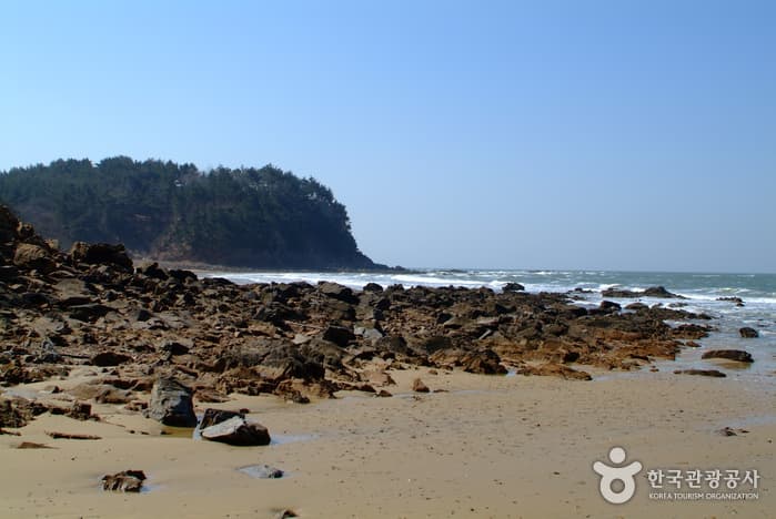 샛별해수욕장05