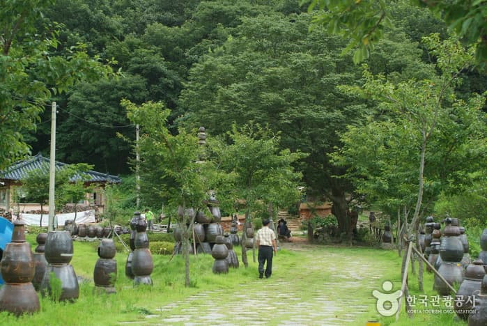 꽃무릇,산책로,공원_03