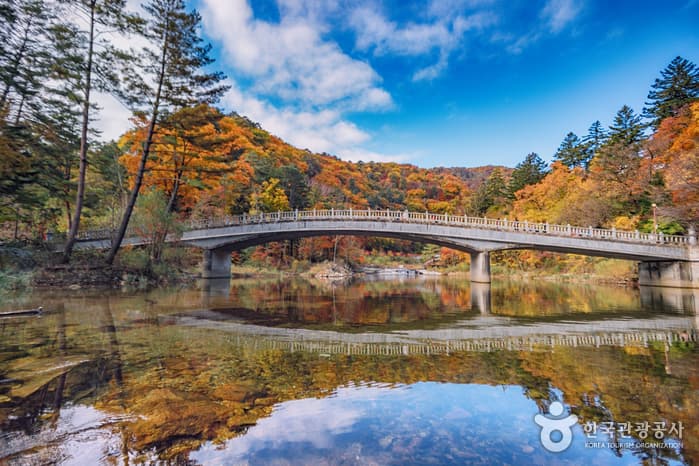 한국관광공사 추천 11월 걷기여행길_오대산 선재길 월정사 전나무 숲길_01