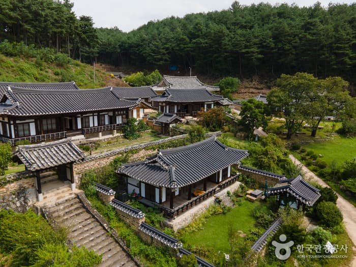 군자마을 5