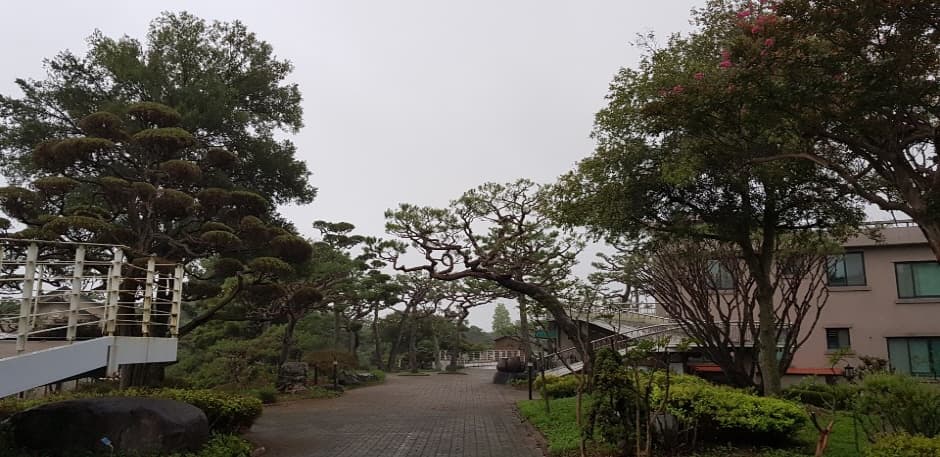 그림같은 수목원 (2)