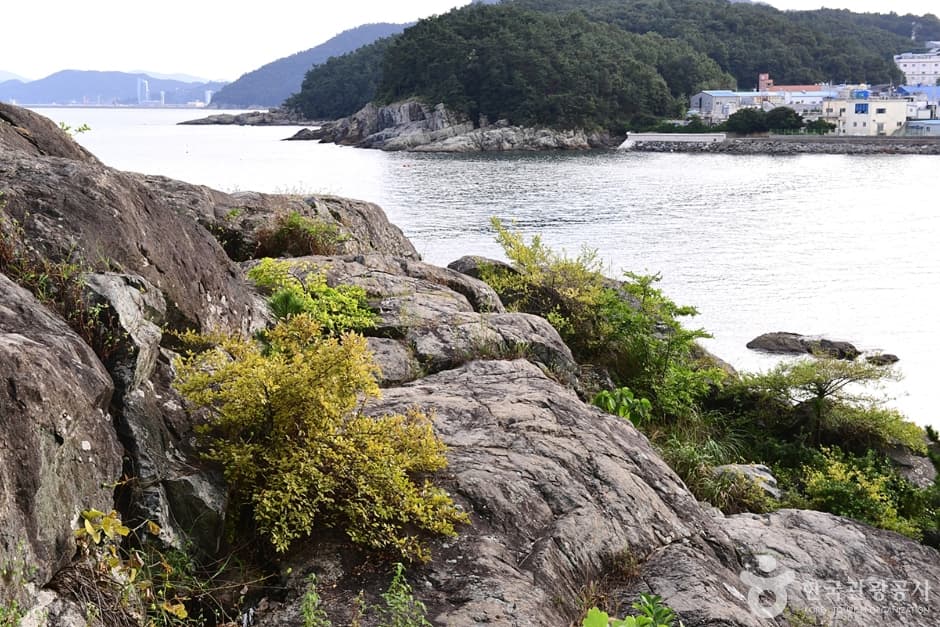 전남_여수_모사금해수욕장 (15)