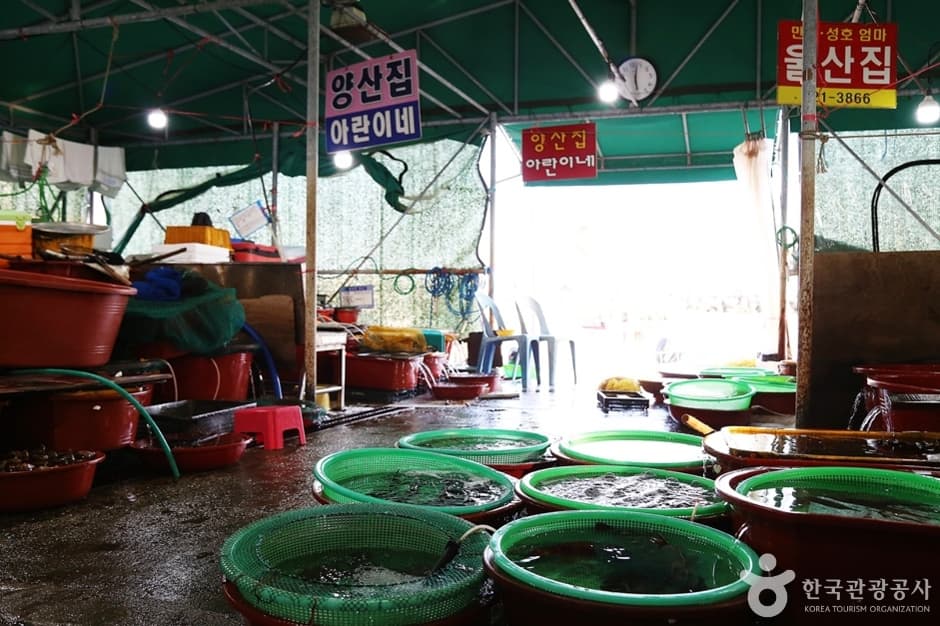 월전 활어판매장 (5)