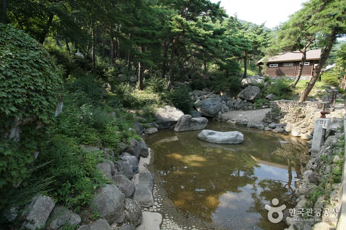 칠보산자연휴양림