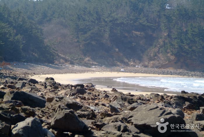 샛별해수욕장14