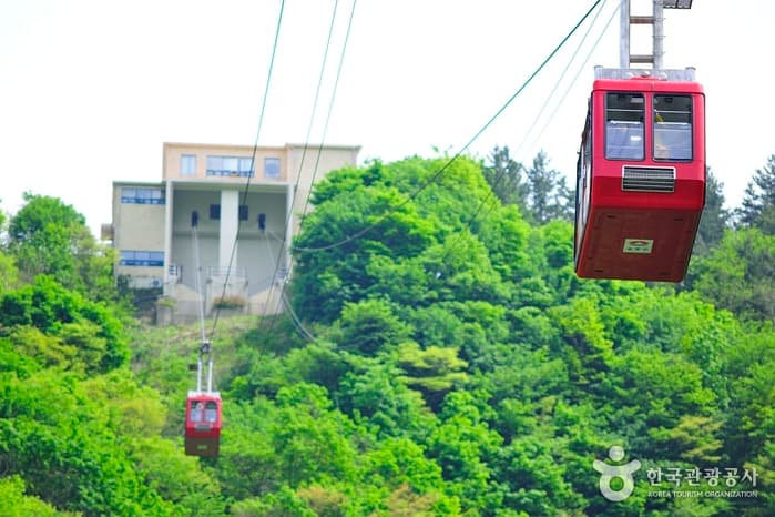 경북_울릉_독도전망대 케이블카01