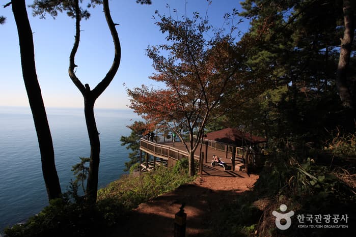 부산_문탠로드04
