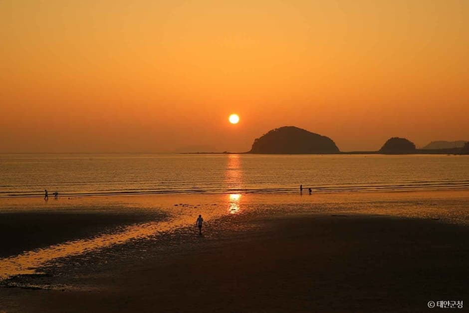 운여해변 (4)