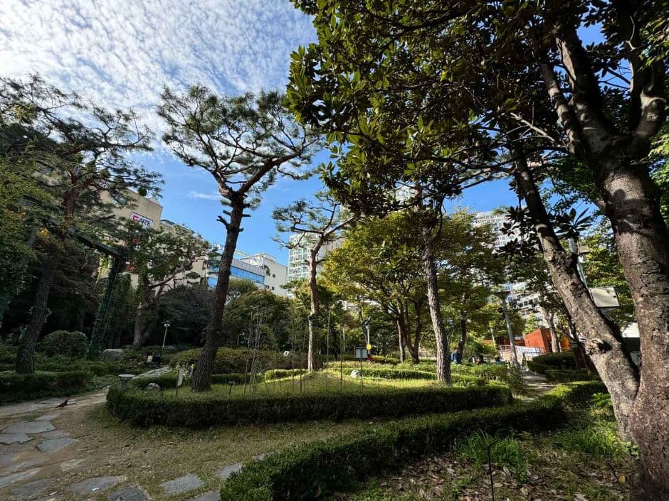광주_금남로공원 나비정원 (2)