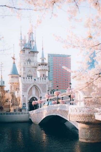 2025 송파구 호수벚꽃축제 4