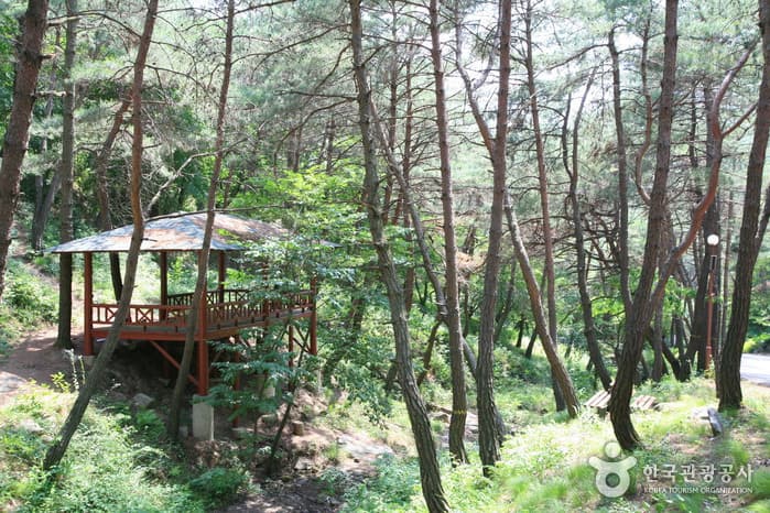 남원자연휴양림(남원리조트)_06