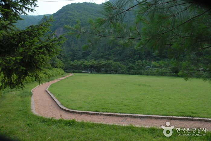 고산자연휴양림_14