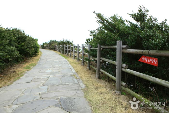 제주올레 5코스 큰엉 산책로_1