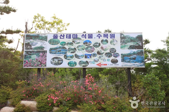 울산광역시_동구_울산테마식물수목원_044