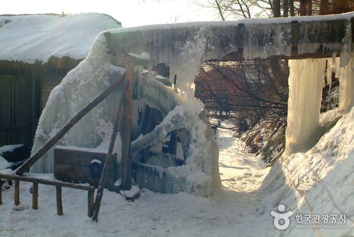 이효석 문화마을_02