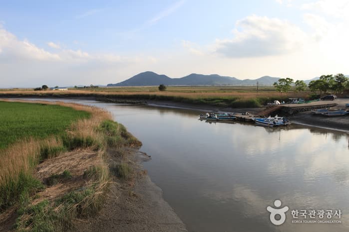 130510전남_순천_순천만자연생태공원 7