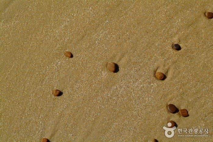 샛별해수욕장04