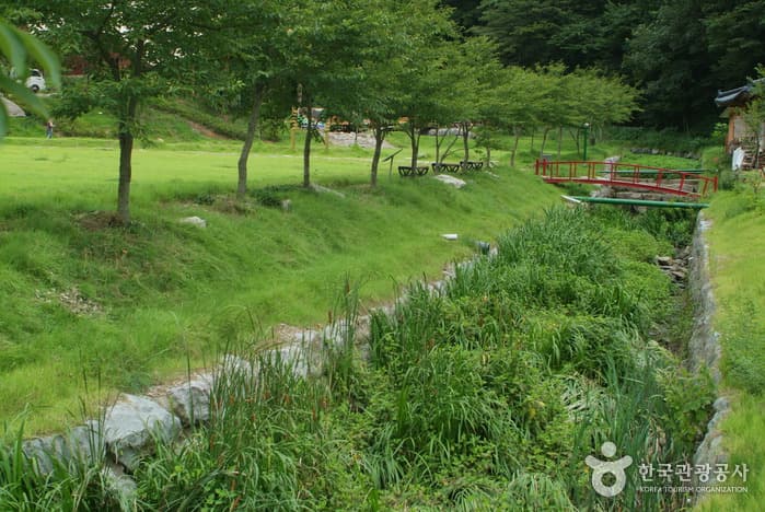 꽃무릇,산책로,공원_09