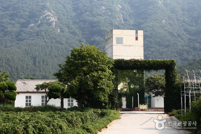 전북_고창_선운산 숲길에서 숨은 꽃을 만나다17