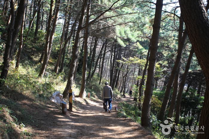 부산_문탠로드05