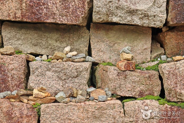충북_보은_[마이리틀시티] 힐링이 체질이라, 비 내려도 예쁜 보은 여행_18