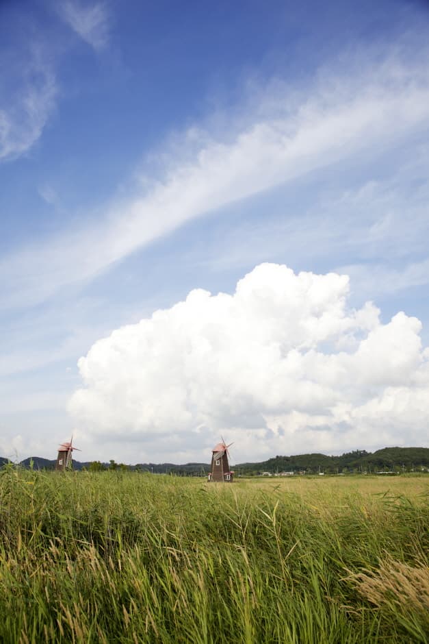 소래습지생태공원_5