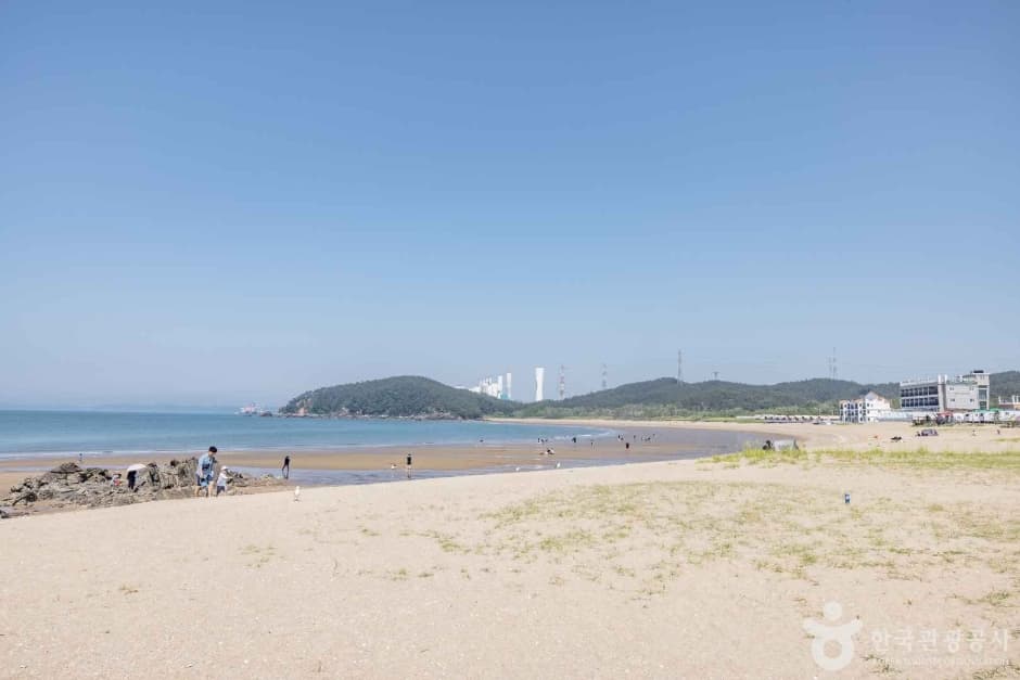 학암포해수욕장 (13)