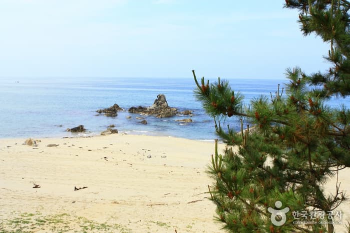 해양레일바이크10